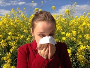 Lire la suite à propos de l’article Les allergies saisonnières